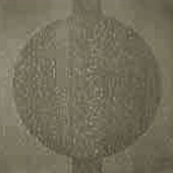 Picture of Johnsonite - Circulinity Round-A-Bout Grizzly
