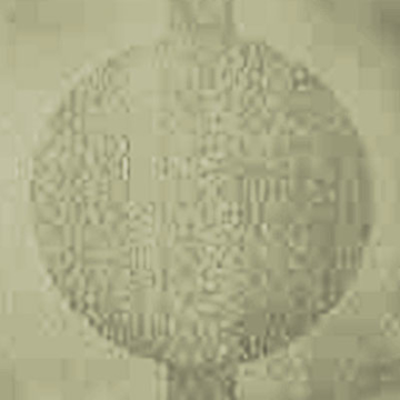 Picture of Johnsonite - Circulinity Round-A-Bout Iguana