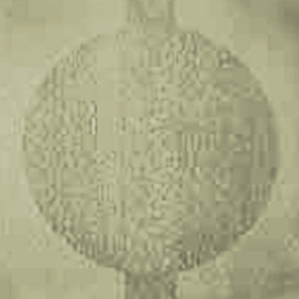 Picture of Johnsonite - Circulinity Round-A-Bout Iguana