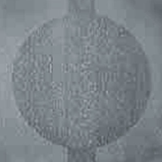 Picture of Johnsonite - Circulinity Round-A-Bout Medium Grey