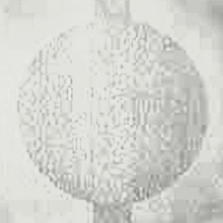 Picture of Johnsonite - Circulinity Round-A-Bout Mist