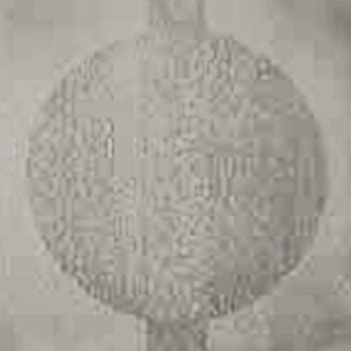 Picture of Johnsonite - Circulinity Round-A-Bout Mystify