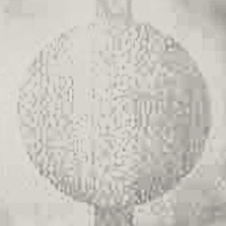 Picture of Johnsonite - Circulinity Round-A-Bout Pearl