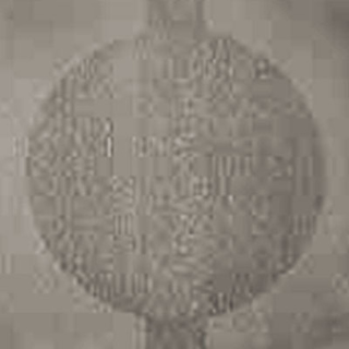 Picture of Johnsonite - Circulinity Round-A-Bout Pebble