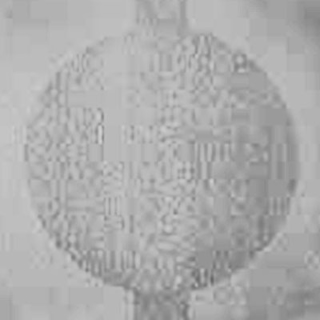 Picture of Johnsonite - Circulinity Round-A-Bout Platinum