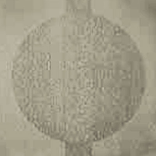 Picture of Johnsonite - Circulinity Round-A-Bout Shoreline