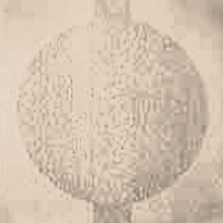 Picture of Johnsonite - Circulinity Round-A-Bout Silk