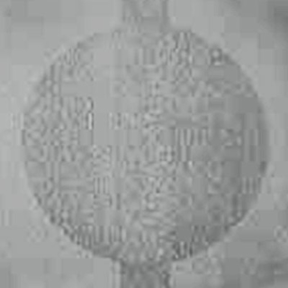Picture of Johnsonite - Circulinity Round-A-Bout Silver Grey