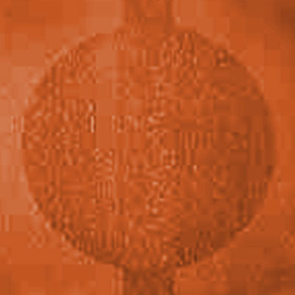 Picture of Johnsonite - Circulinity Round-A-Bout Tangerine Tango