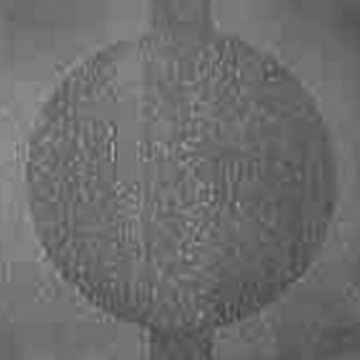 Picture of Johnsonite - Circulinity Round-A-Bout Vaporize