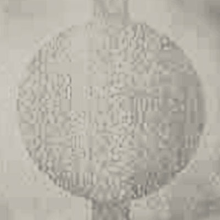 Picture of Johnsonite - Circulinity Round-A-Bout Zephyr