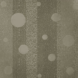 Picture of Johnsonite - Circulinity Effervescent Grizzly