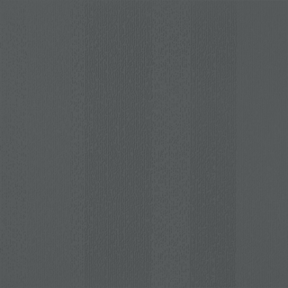 Picture of Johnsonite - Circulinity Fast Lane Black Magic
