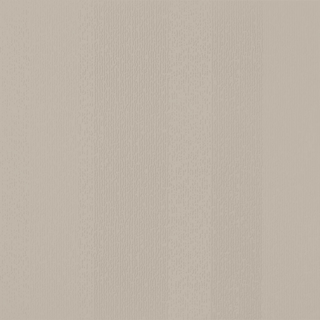 Picture of Johnsonite - Circulinity Fast Lane Macadamia