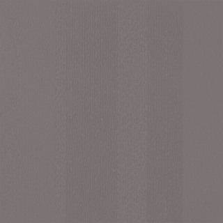 Picture of Johnsonite - Circulinity Fast Lane Poetry Plum