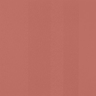 Picture of Johnsonite - Circulinity Fast Lane Spicy Chip