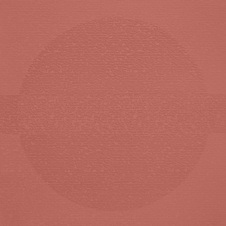 Picture of Johnsonite - Circulinity Round-A-Bout Spicy Chip