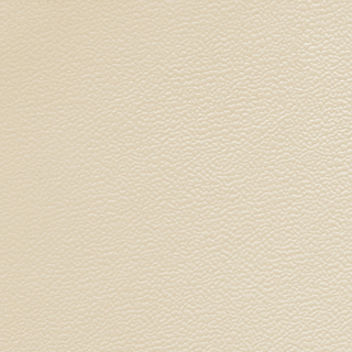 Picture of Johnsonite - Solid Colors Forged Almond