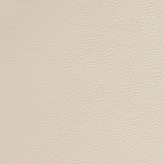 Picture of Johnsonite - Solid Colors Forged Canvas