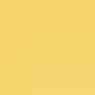 Picture of Johnsonite - Solid Colors Hammered Canary