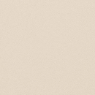Picture of Johnsonite - Solid Colors Leather Antique White