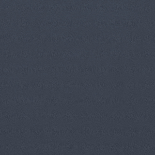 Picture of Johnsonite - Solid Colors Leather Blue Intensity