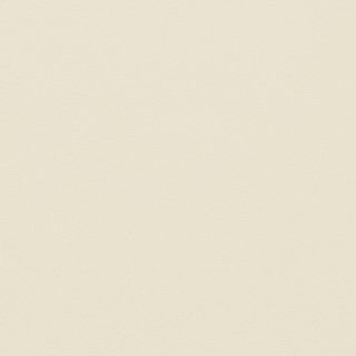 Picture of Johnsonite - Solid Colors Leather Bone White