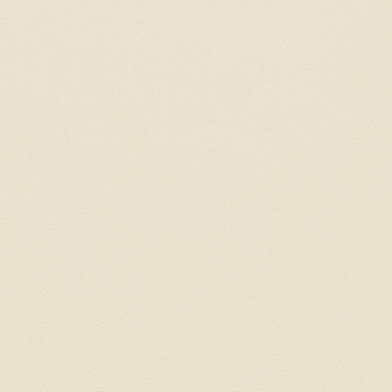 Picture of Johnsonite - Solid Colors Leather Bone White