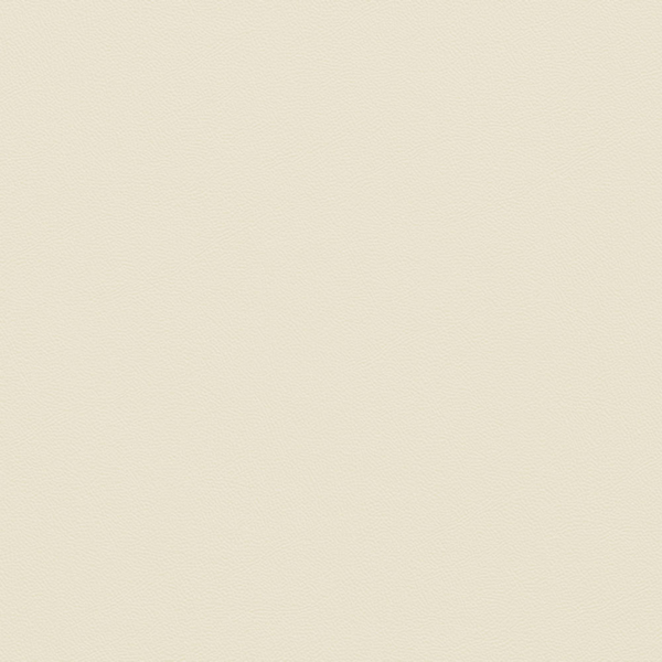 Picture of Johnsonite - Solid Colors Leather Bone White