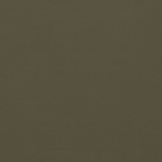 Picture of Johnsonite - Solid Colors Leather Boxwood