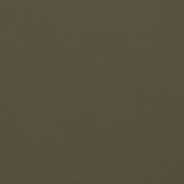 Picture of Johnsonite - Solid Colors Leather Boxwood
