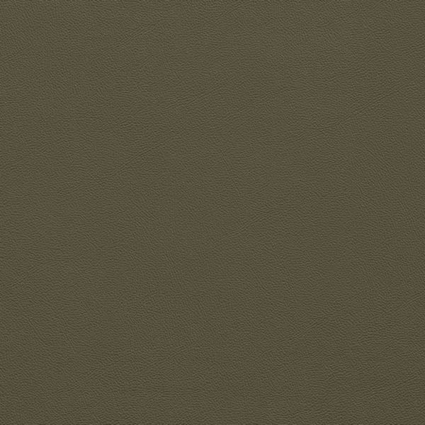 Picture of Johnsonite - Solid Colors Leather Boxwood