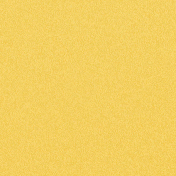 Picture of Johnsonite - Solid Colors Leather Canary
