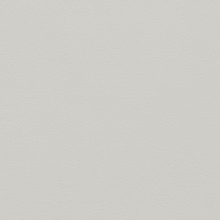 Picture of Johnsonite - Solid Colors Leather Dover