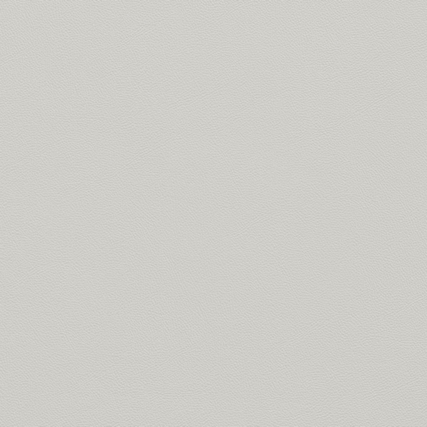 Picture of Johnsonite - Solid Colors Leather Dover
