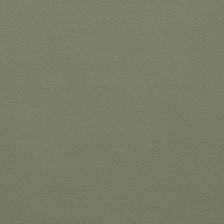 Picture of Johnsonite - Solid Colors Leather Glenhaven