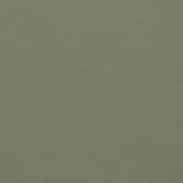 Picture of Johnsonite - Solid Colors Leather Glenhaven