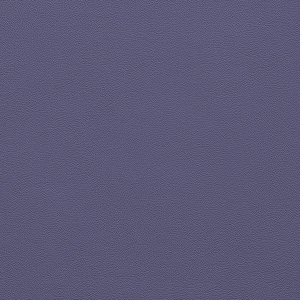 Picture of Johnsonite - Solid Colors Leather Grapest