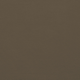 Picture of Johnsonite - Solid Colors Leather Grounded