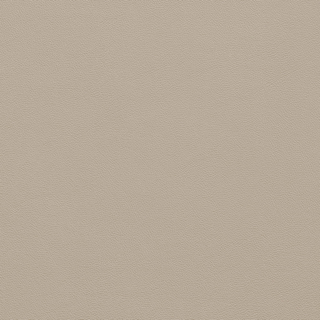 Picture of Johnsonite - Solid Colors Leather Macadamia