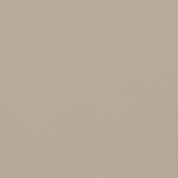 Picture of Johnsonite - Solid Colors Leather Macadamia