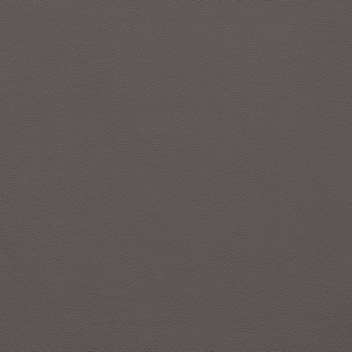 Picture of Johnsonite - Solid Colors Leather Poetry Plum