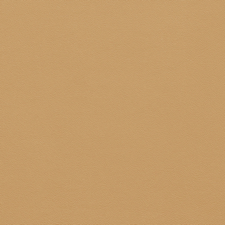 Picture of Johnsonite - Solid Colors Leather Sisal