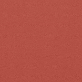 Picture of Johnsonite - Solid Colors Leather Spicy Chip