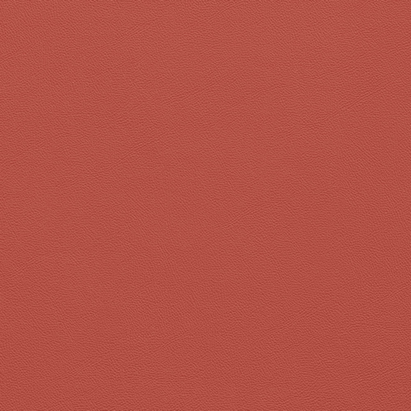 Picture of Johnsonite - Solid Colors Leather Spicy Chip