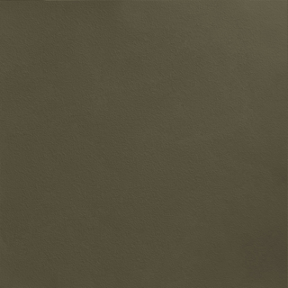 Picture of Johnsonite - Solid Colors Rice Paper Boxwood