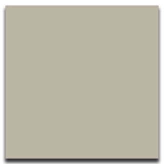 Picture of Johnsonite - Solid Colors Smooth 12 x 12 Macadamia