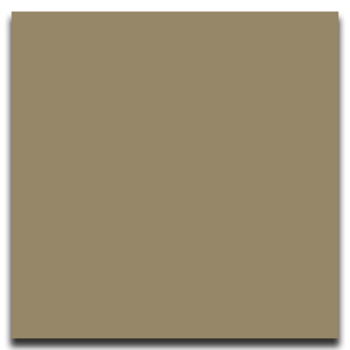 Picture of Johnsonite - Solid Colors Smooth 12 x 12 Tannery
