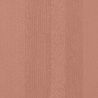 Picture of Johnsonite - Circulinity Fast Lane Hot Spice