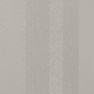 Picture of Johnsonite - Circulinity Fast Lane Whispering Mist